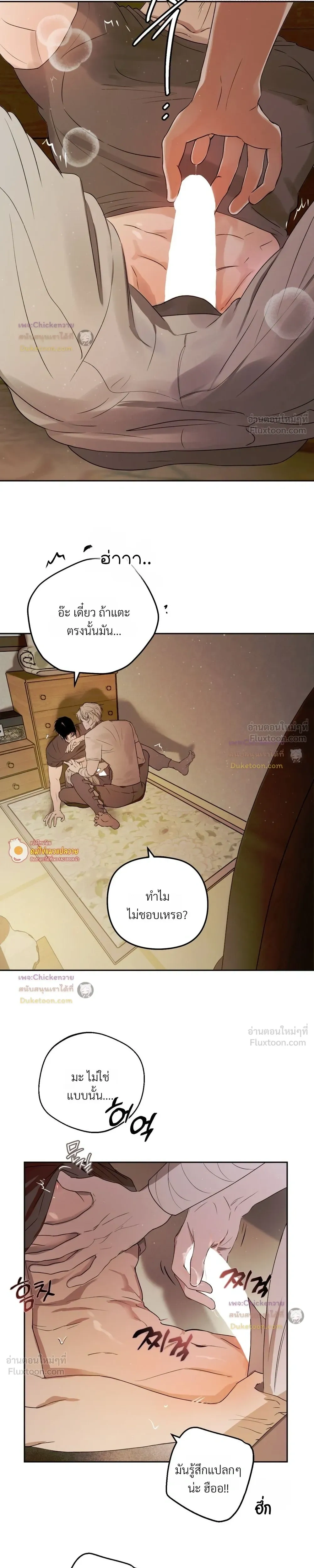 หน้าที่ 5