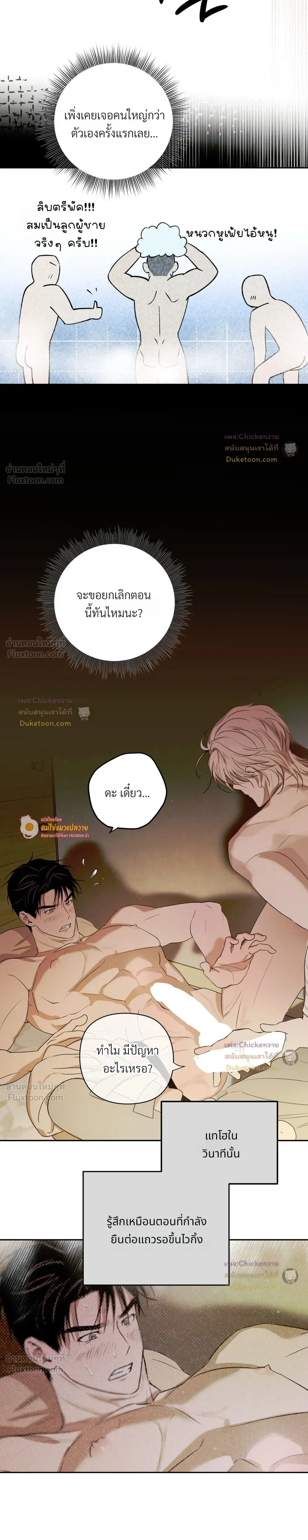 หน้าที่ 13