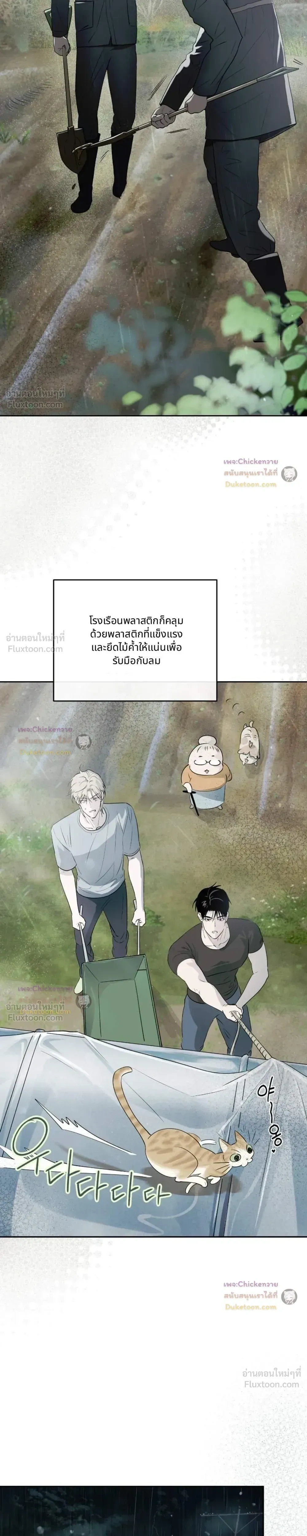 หน้าที่ 15