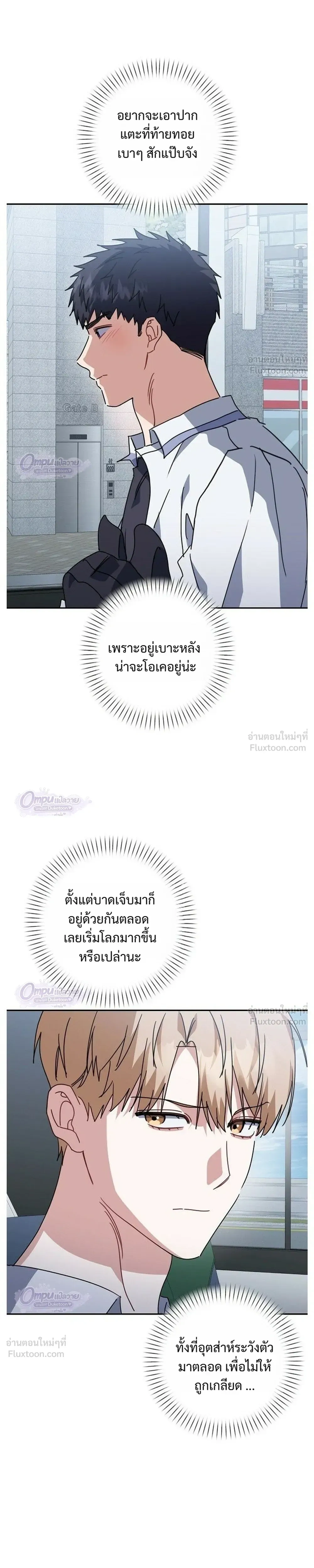หน้าที่ 17