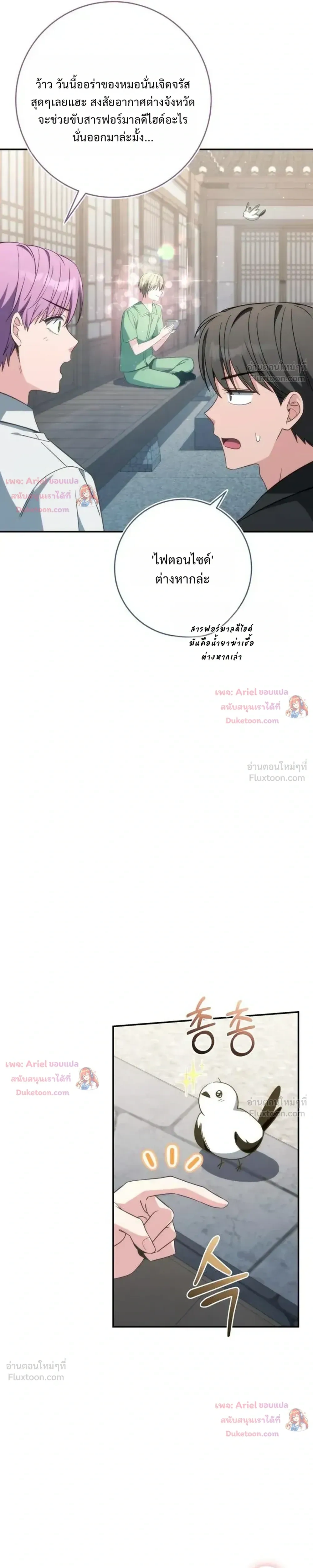 หน้าที่ 29
