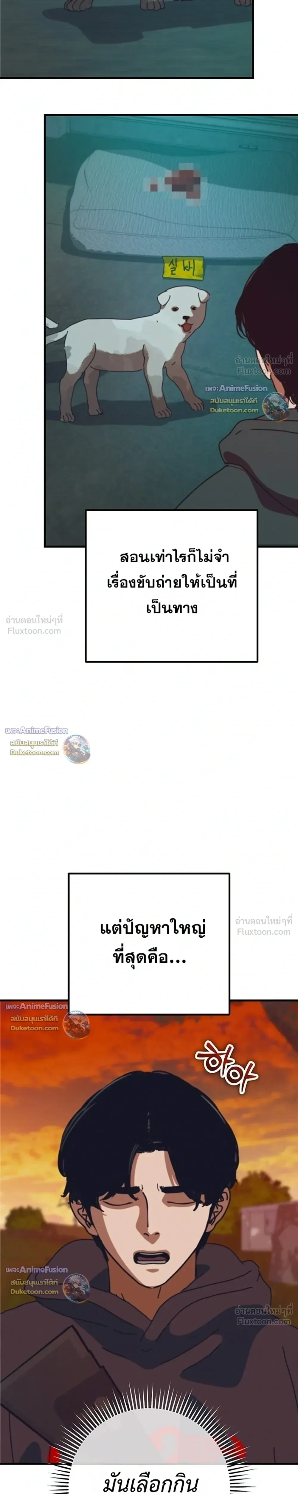 หน้าที่ 37