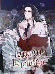 ปกมังงะ Spring Illusion - เงามายาในฤดูใบไม้ผลิ