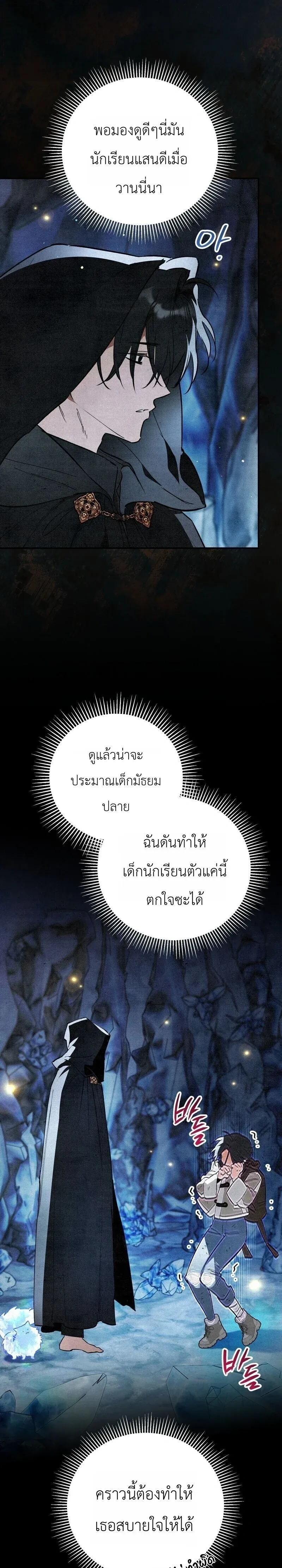 หน้าที่ 29