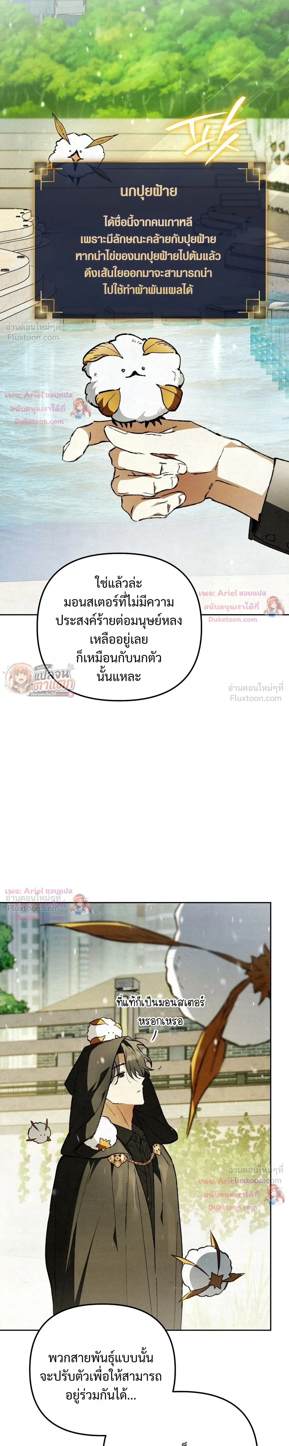 หน้าที่ 29