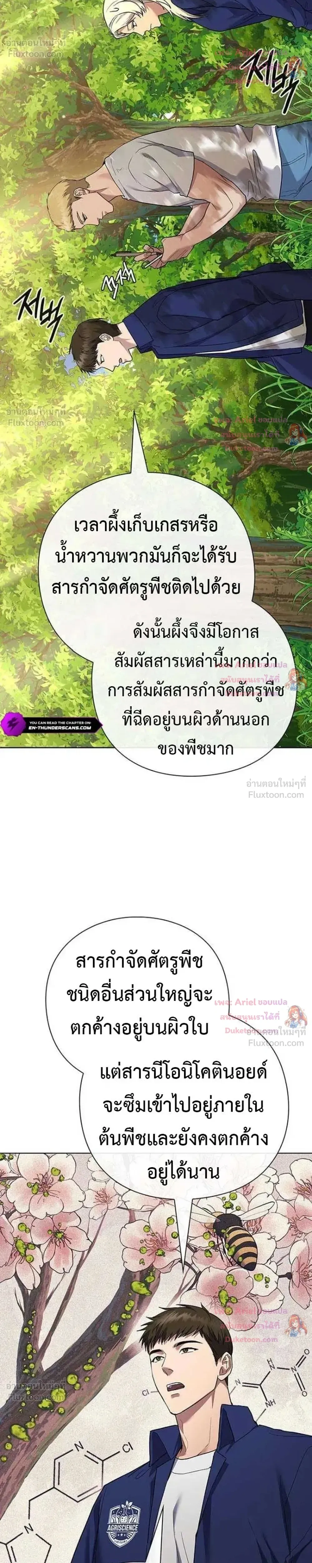 หน้าที่ 14