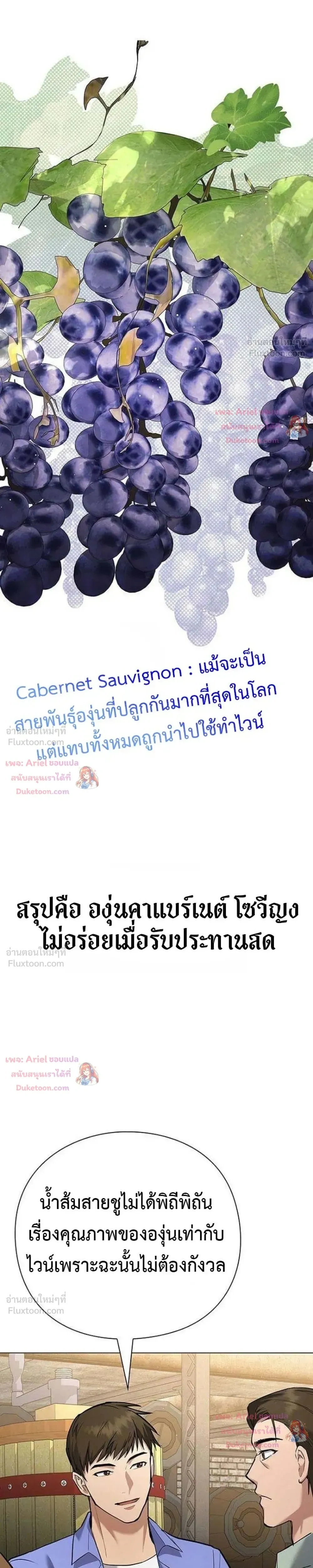 หน้าที่ 29