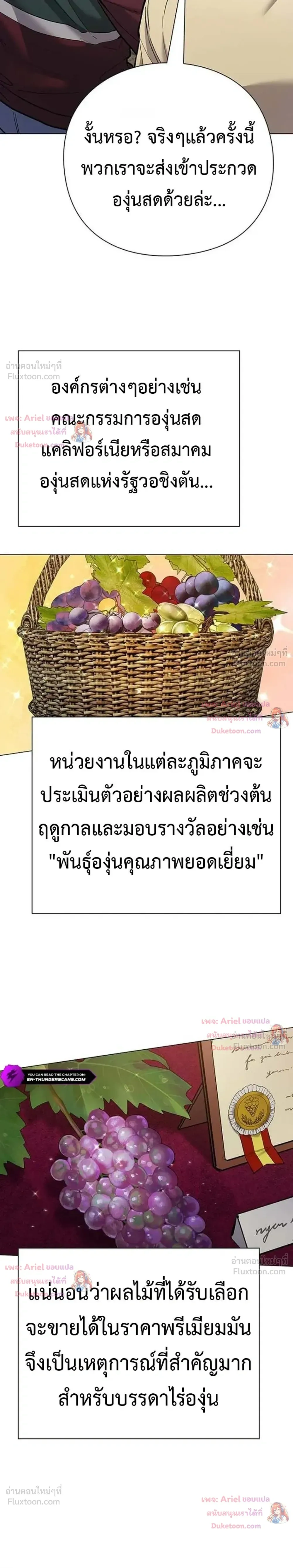 หน้าที่ 29