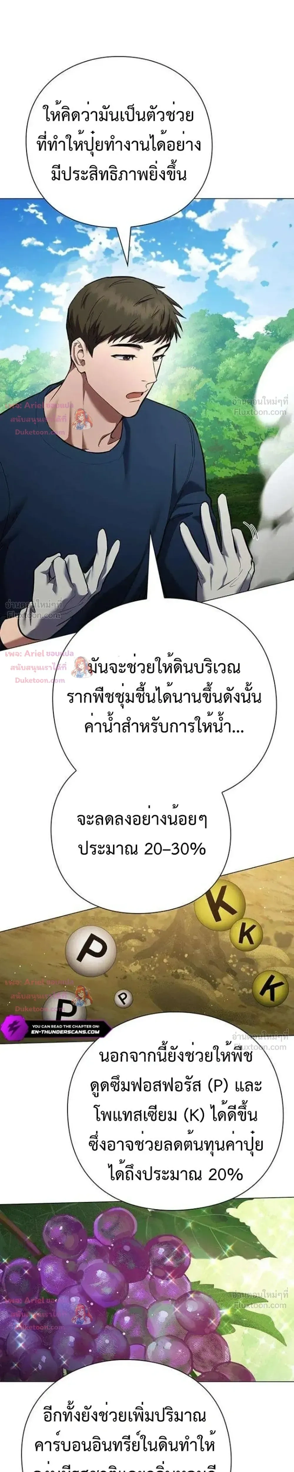 หน้าที่ 29