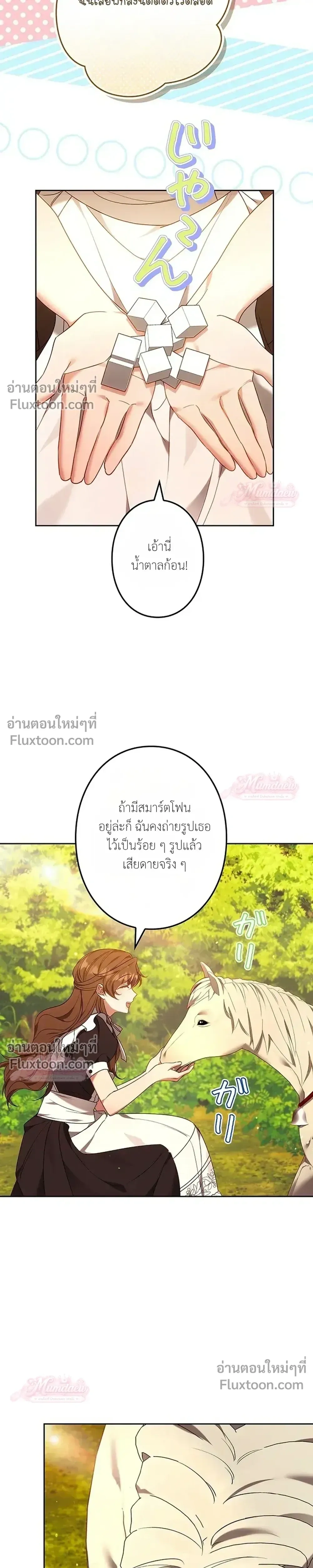 หน้าที่ 31