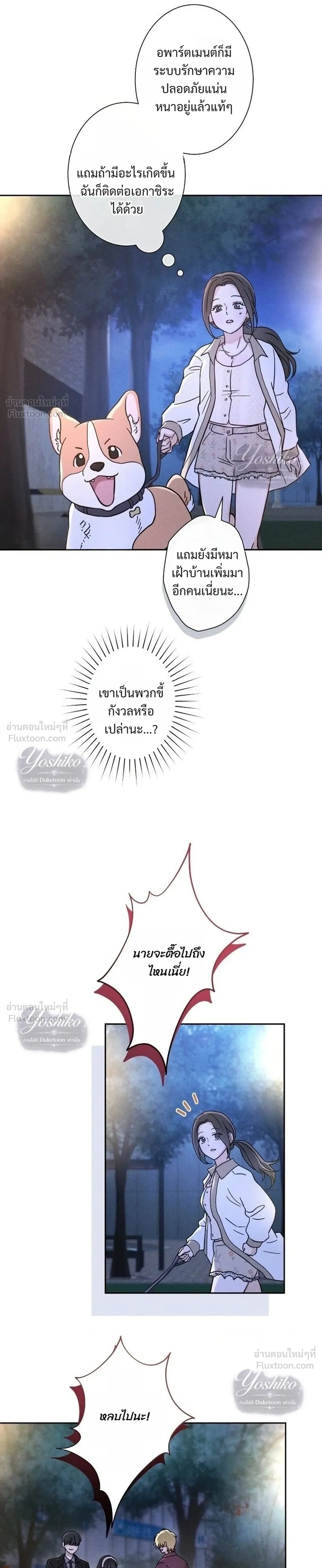 หน้าที่ 15