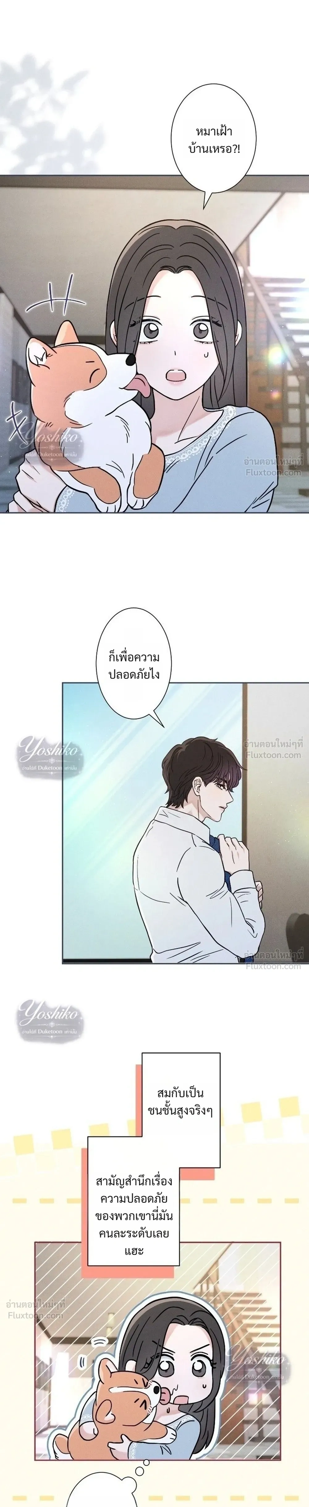 หน้าที่ 13