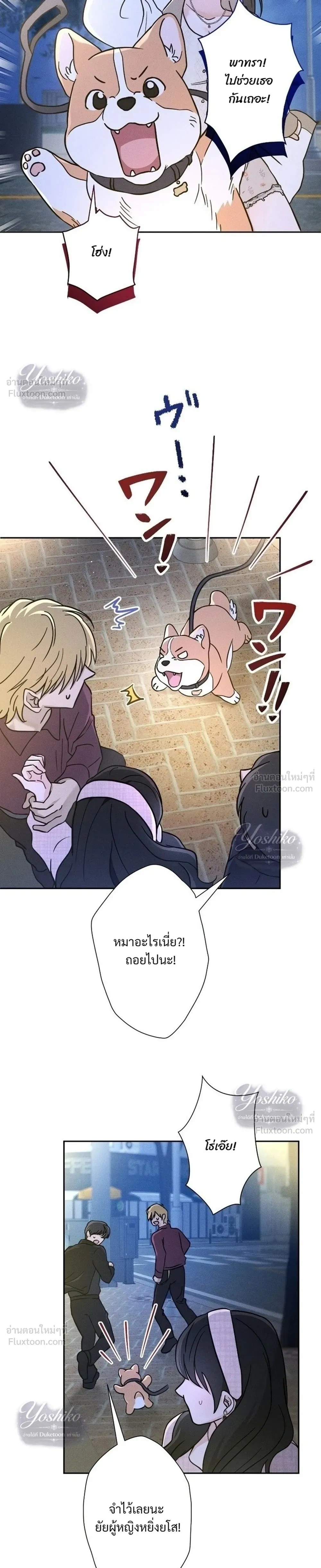 หน้าที่ 17