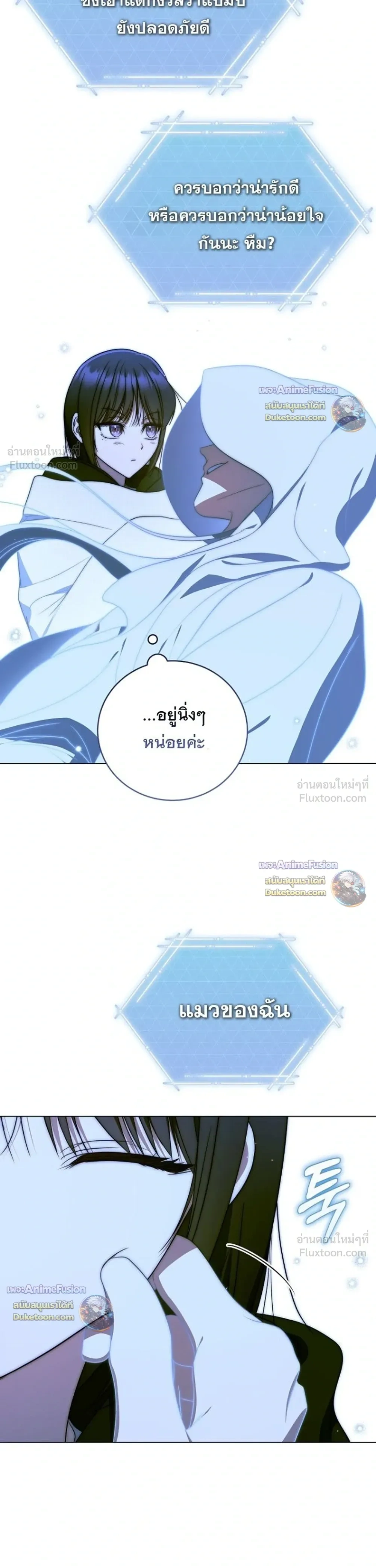 หน้าที่ 29