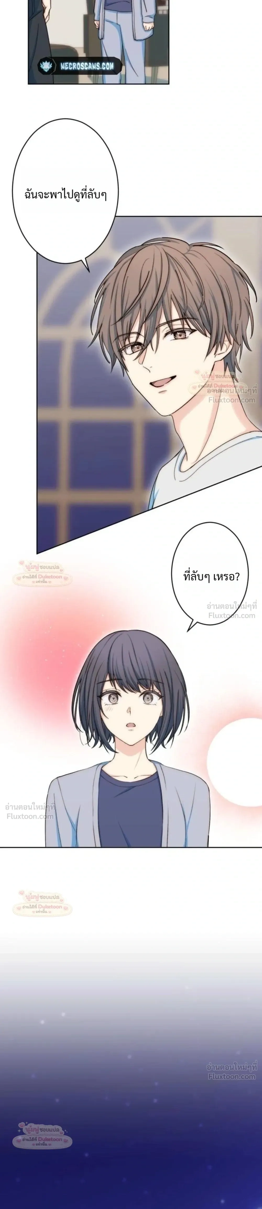 หน้าที่ 13