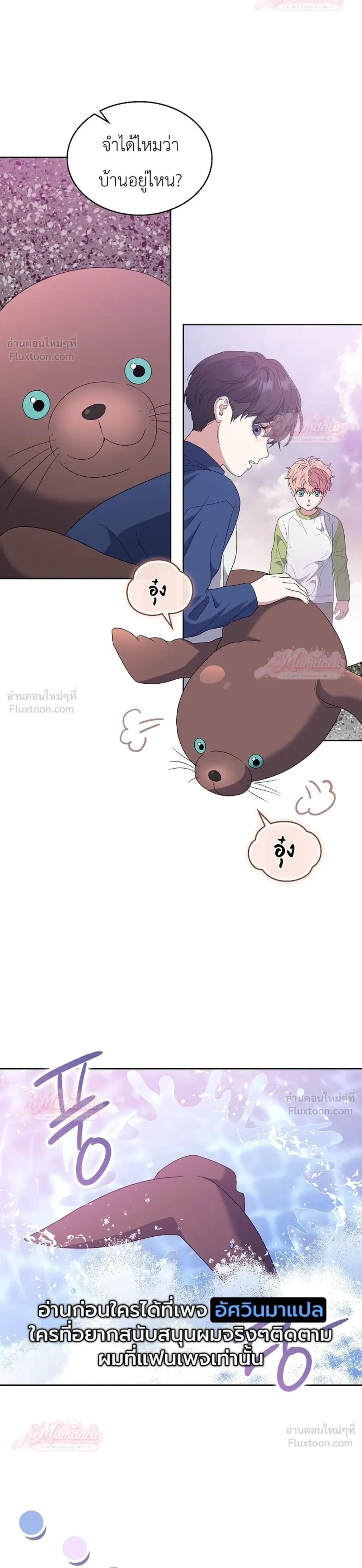 หน้าที่ 24