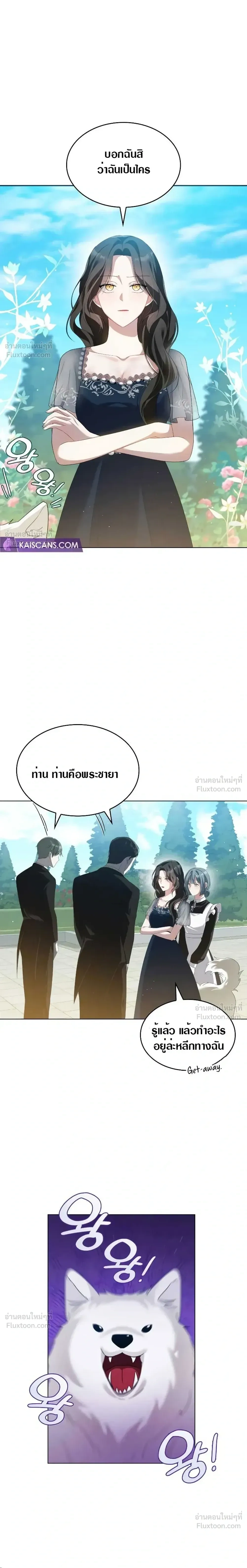 หน้าที่ 13