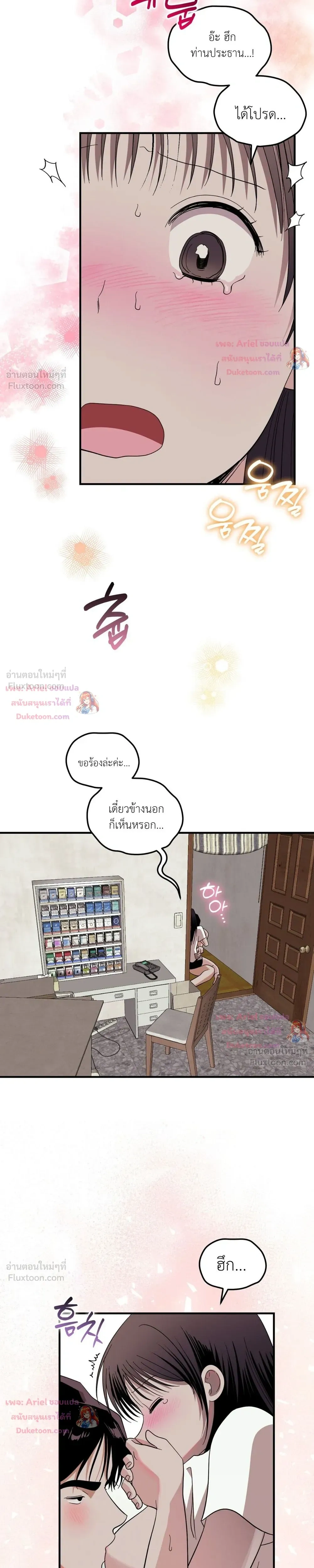 หน้าที่ 13