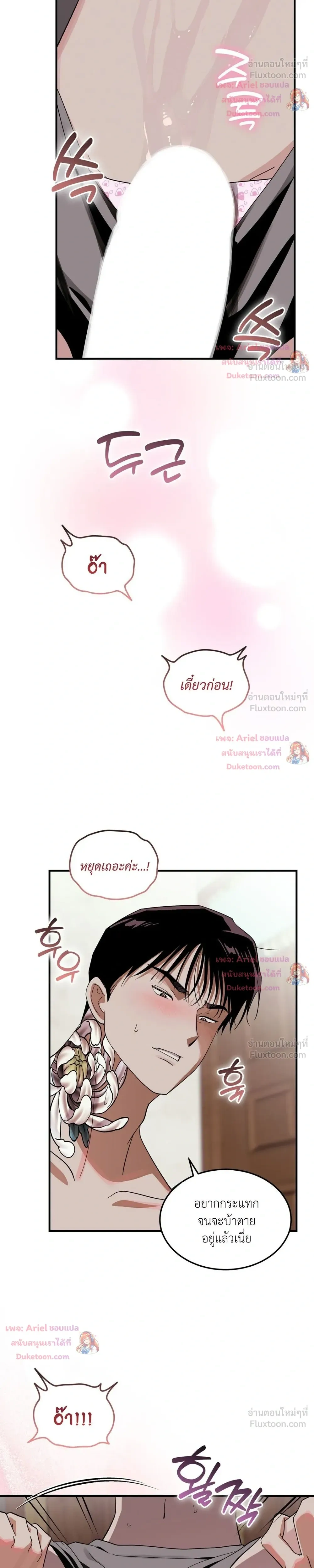 หน้าที่ 17