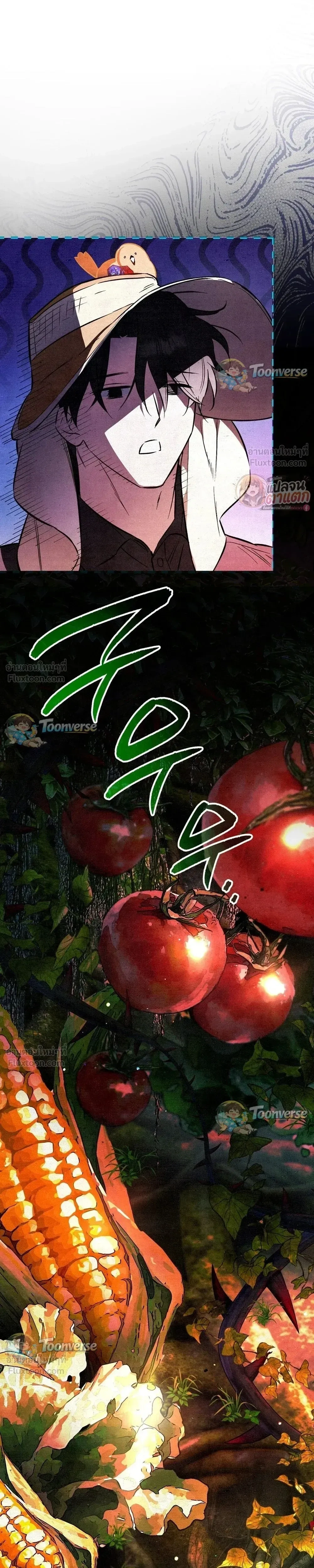 หน้าที่ 31