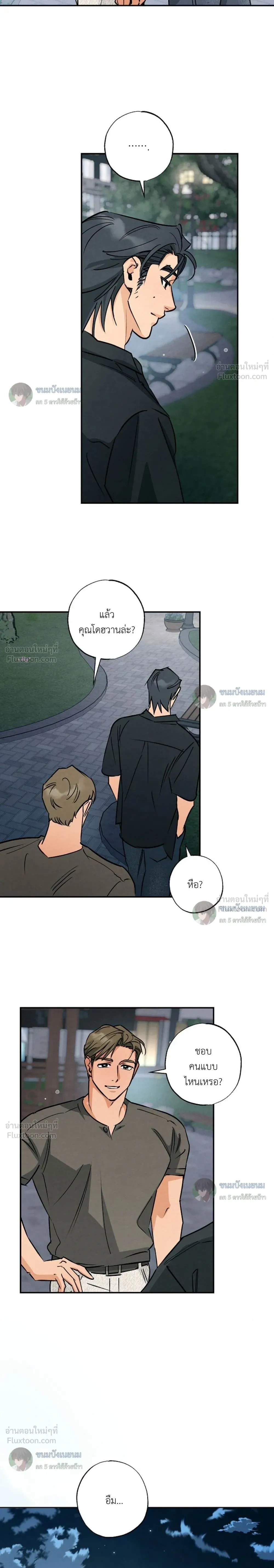 หน้าที่ 13