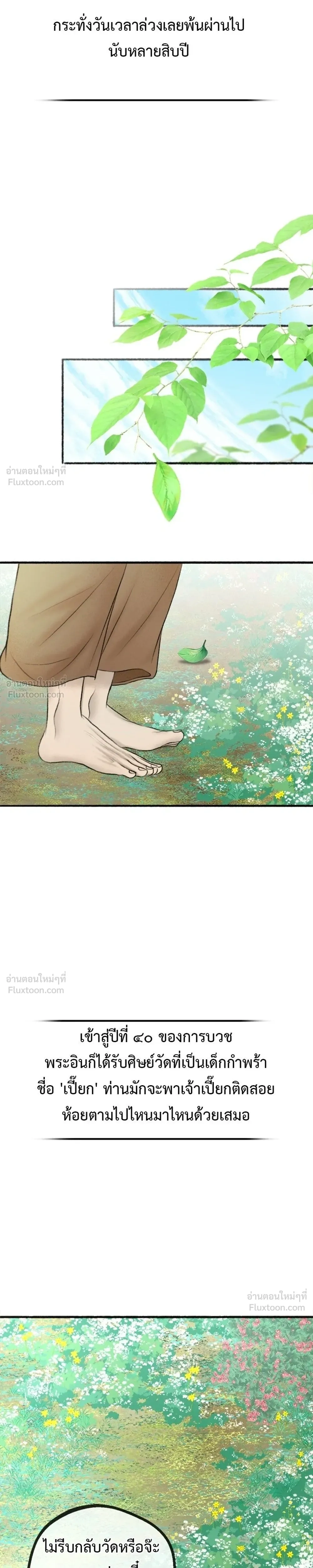 หน้าที่ 29