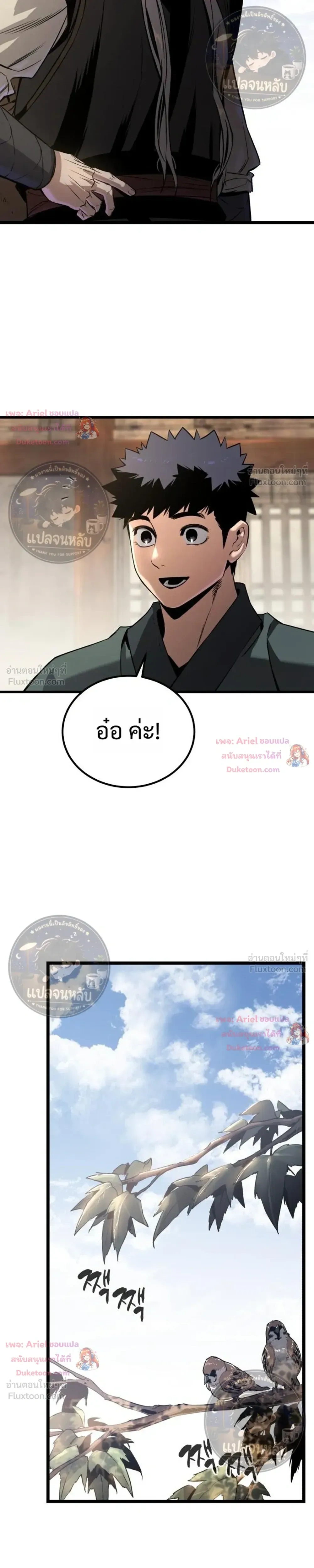 หน้าที่ 17