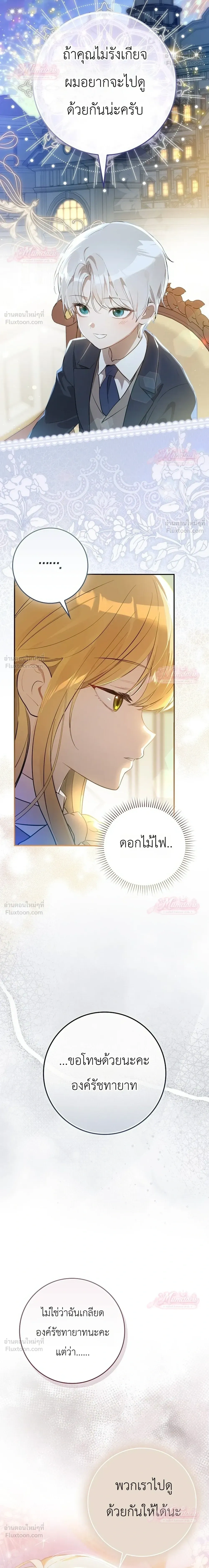 หน้าที่ 24
