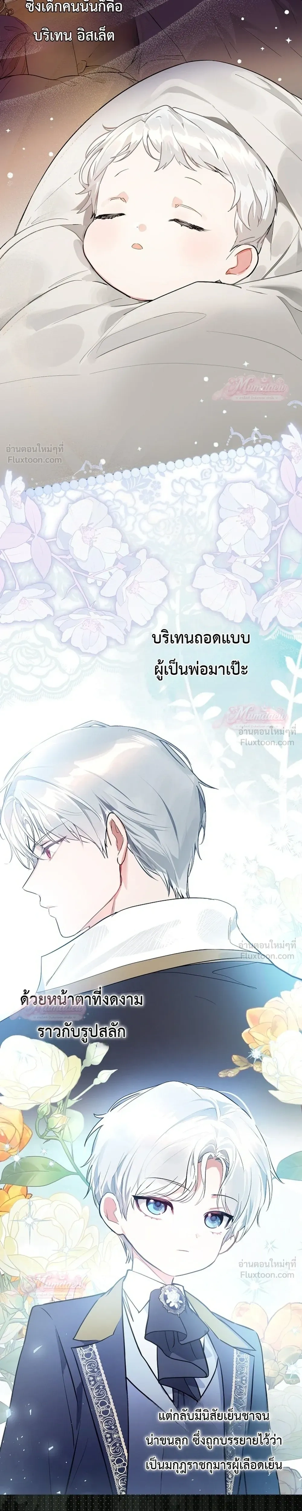 หน้าที่ 27