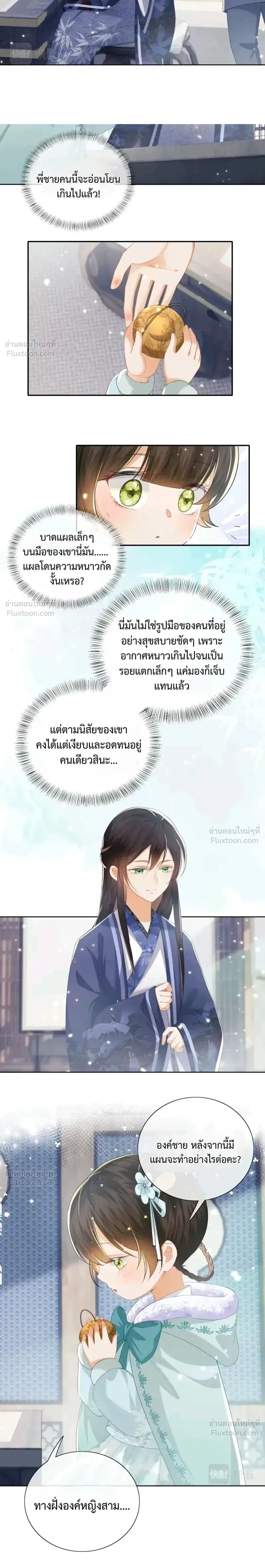 หน้าที่ 13