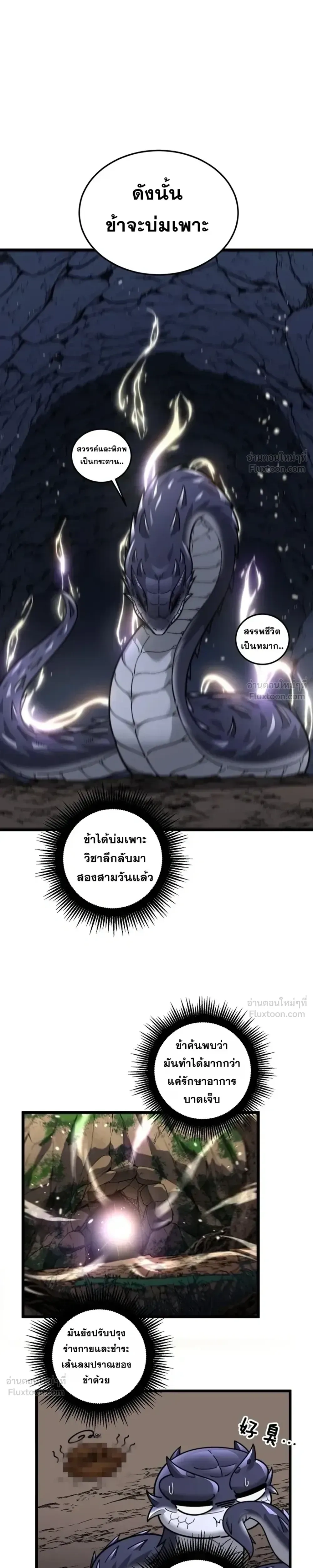 หน้าที่ 13