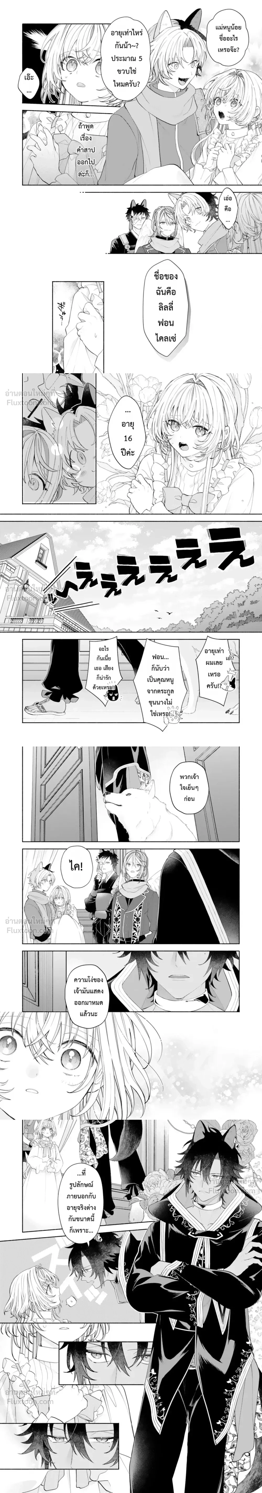 หน้าที่ 4