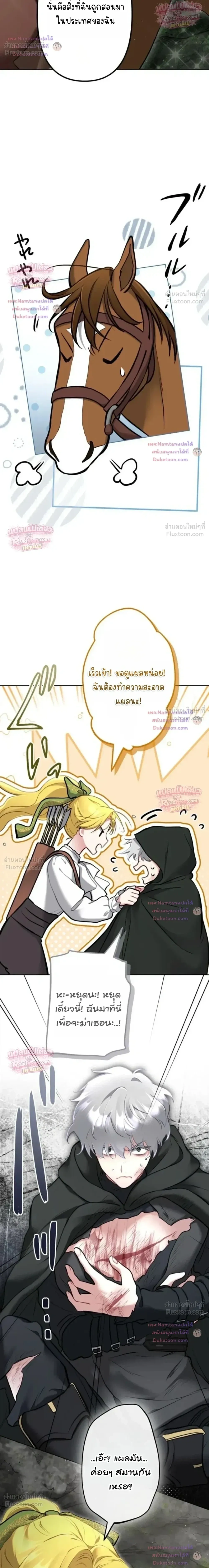 หน้าที่ 29