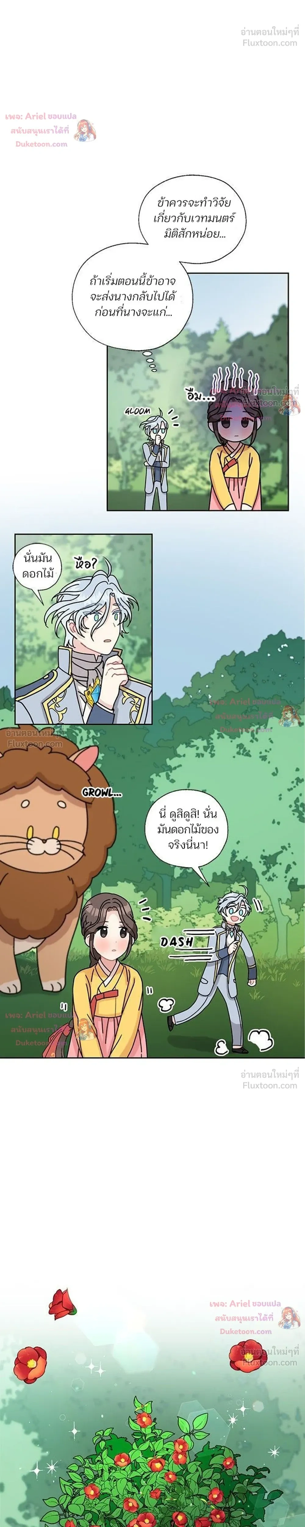 หน้าที่ 17