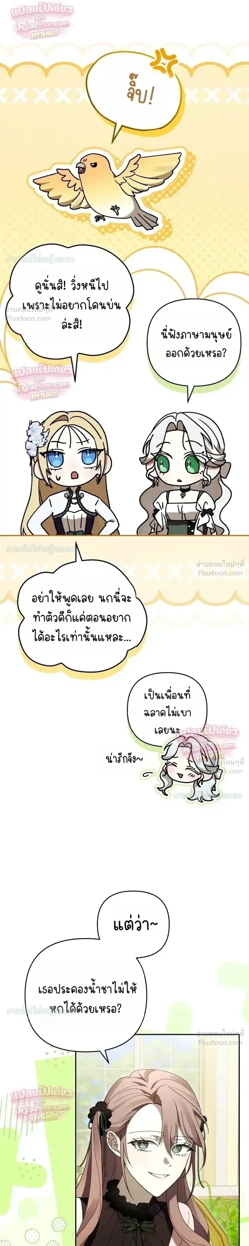 หน้าที่ 17