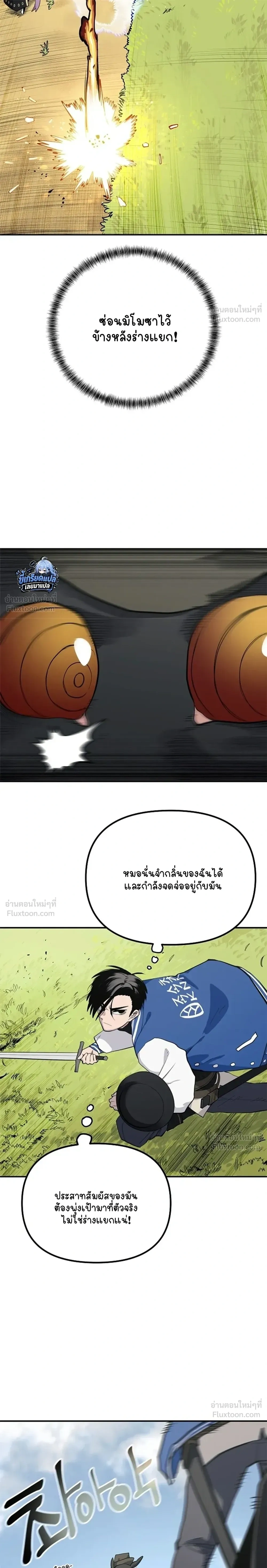 หน้าที่ 13