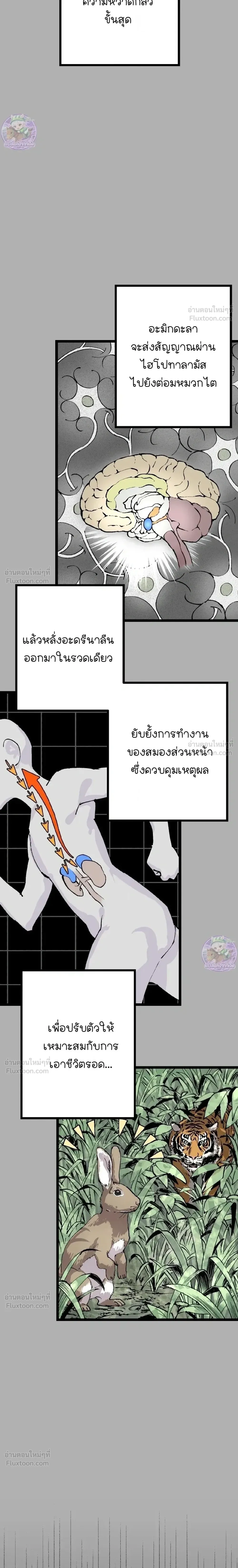 หน้าที่ 38