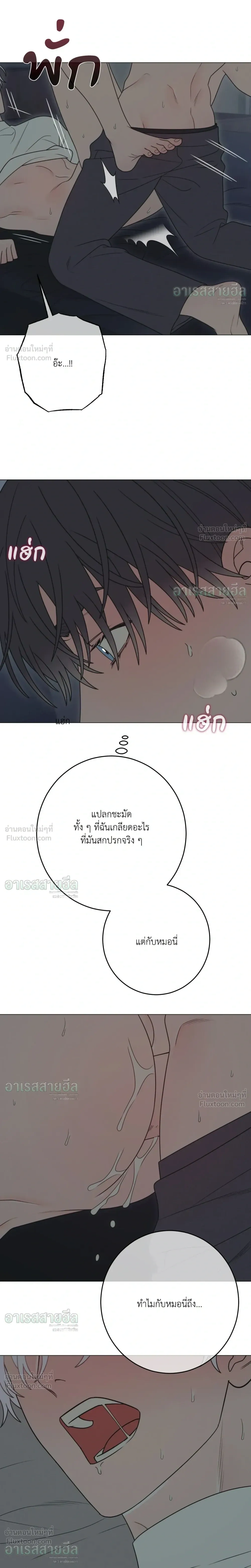 หน้าที่ 21
