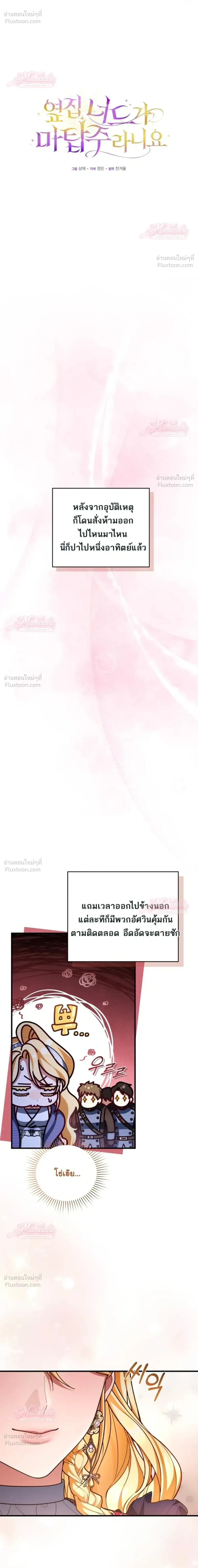 หน้าที่ 17