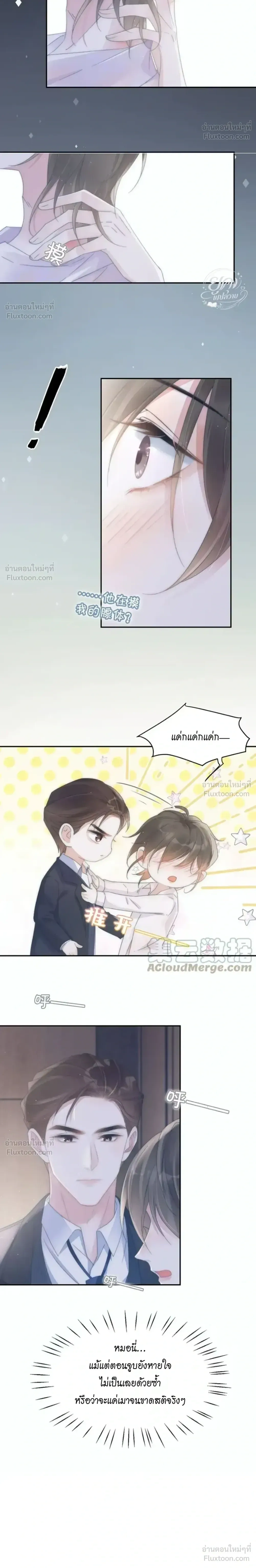 หน้าที่ 13