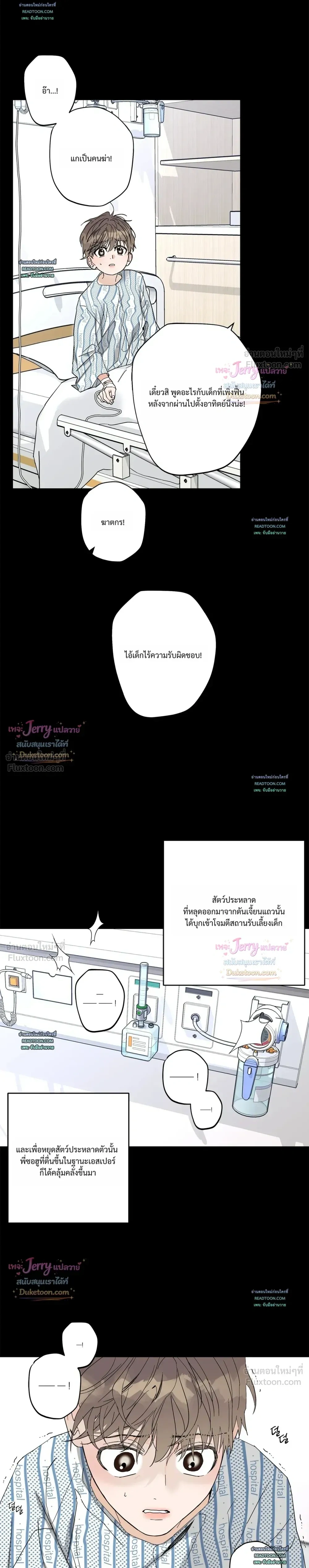หน้าที่ 13