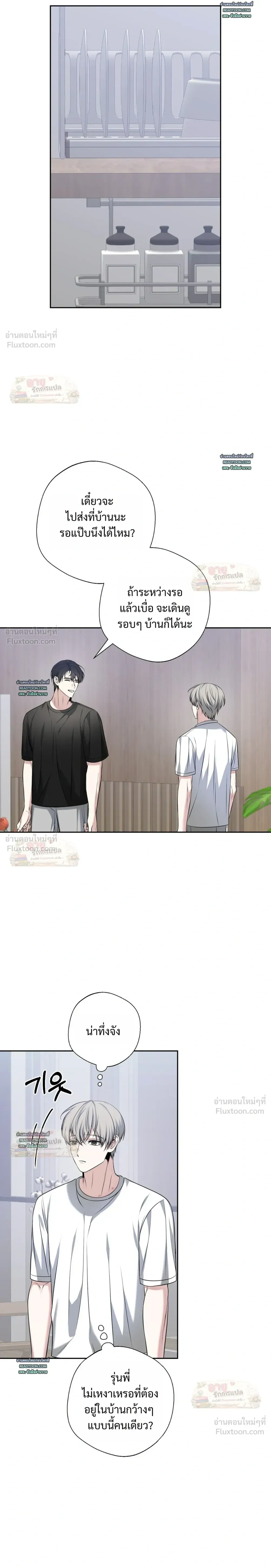 หน้าที่ 17