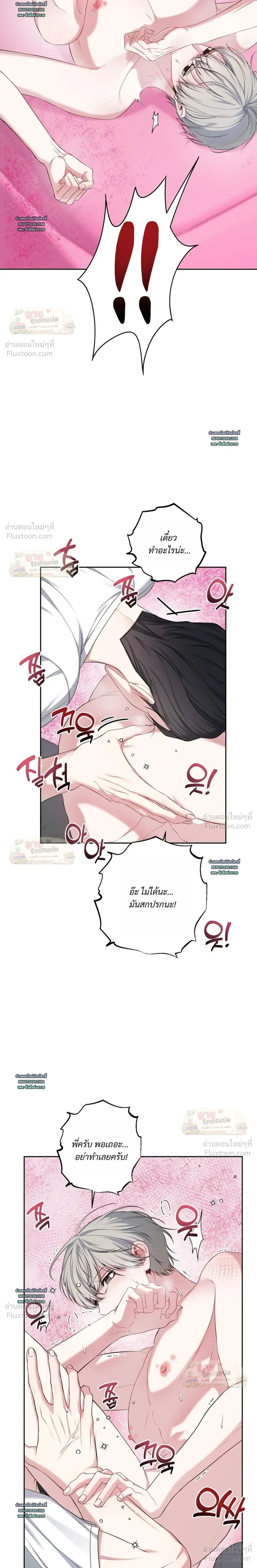 หน้าที่ 13