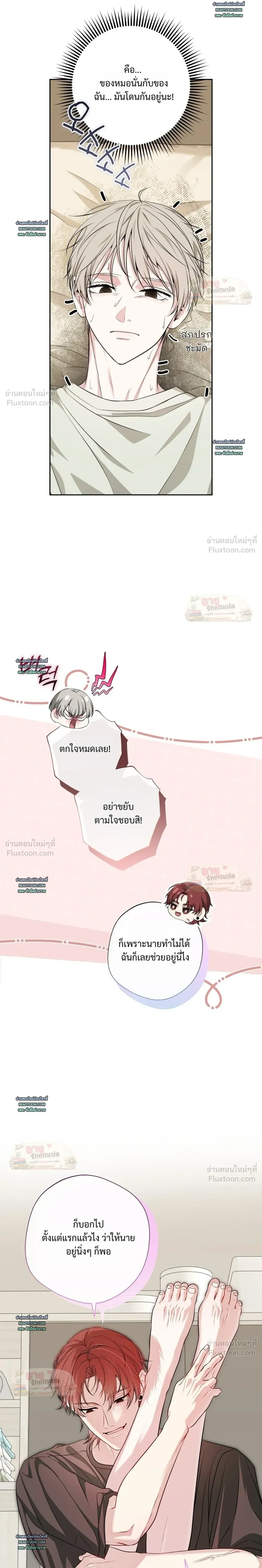 หน้าที่ 12