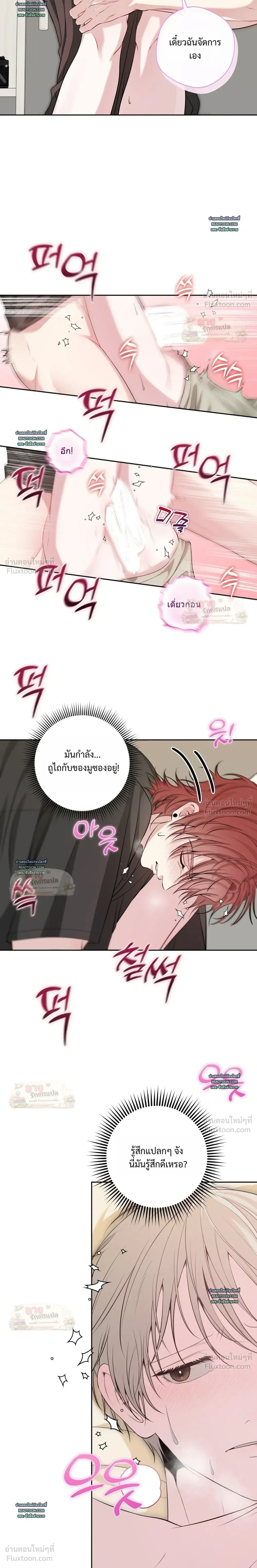 หน้าที่ 13
