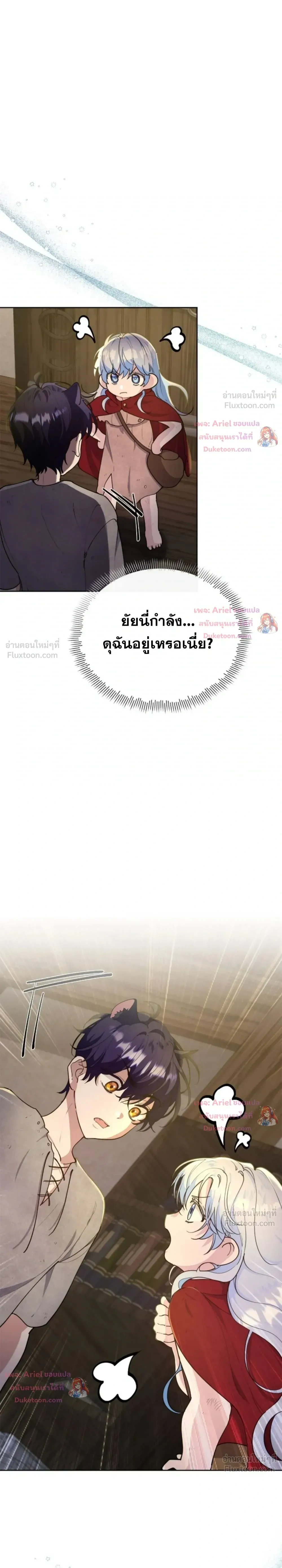หน้าที่ 29