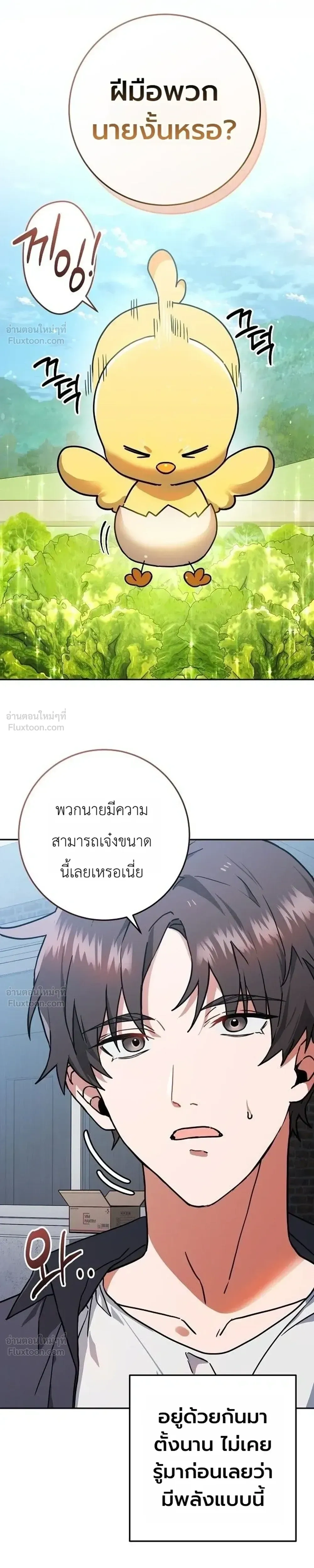 หน้าที่ 43