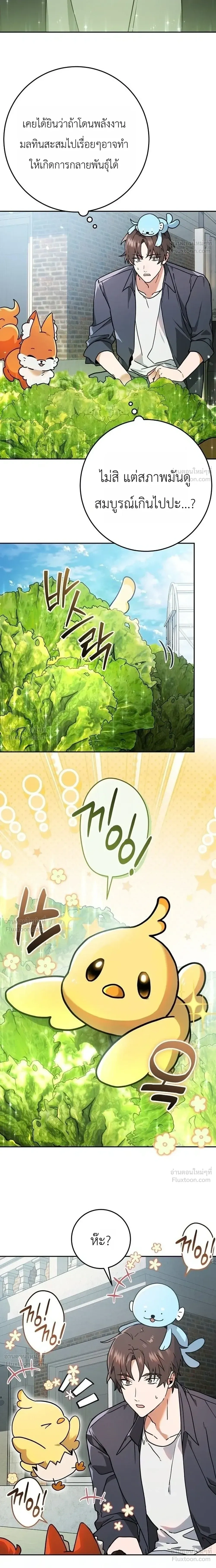หน้าที่ 42